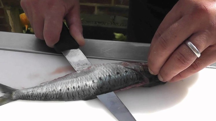 Passionate About Fish - How to prepare Sardines