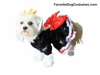 Alice in Wonderland Dog Halloween Costume
