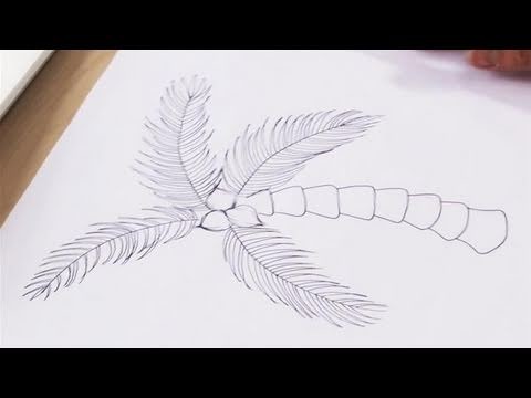 How To Illustrate A Palm Tree