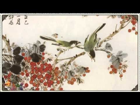 How to Study Chinese Art. Chinese Arts in English. Chinese bird and flower painting.