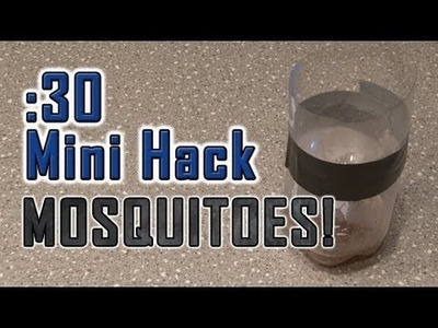 How To Get Rid of PESKY MOSQUITOES!