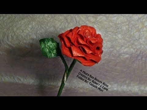 A Miura Ken Beauty Rose Opus 482 (2nd Version)