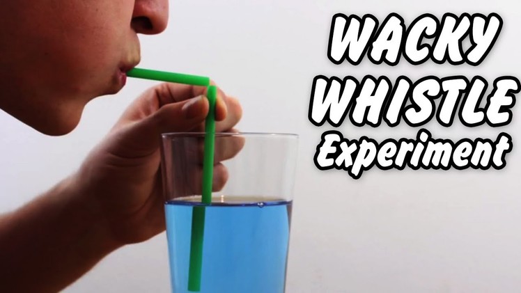 Science Experiments That You Can Do At Home | Wacky Whistle Amazing Science Experiment