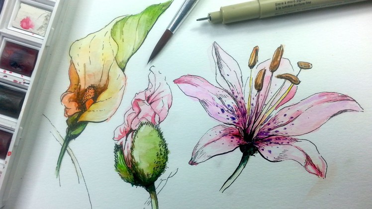 How to Draw & Paint Flowers with Ink and Watercolor Part 1