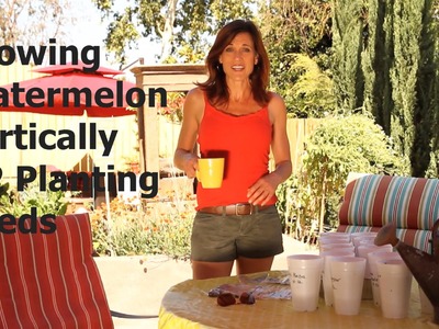 How to Start Watermelon Seeds in Cups