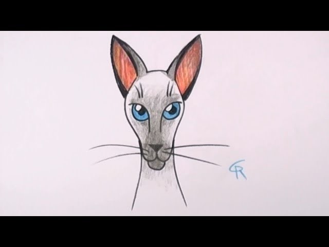 How to Draw a Siamese Cat - CC