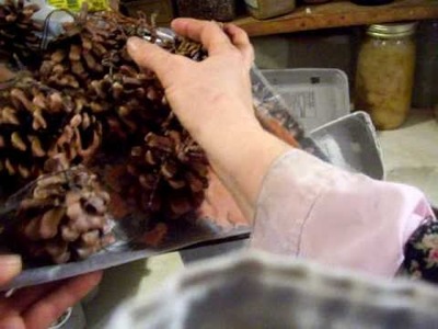 Nancy Today: How to make pinecone fire starters ASMR Cooking Funny