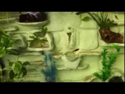 DIY 3D Aquarium Background with Waterfall Effect - 80 Gallon - Completed