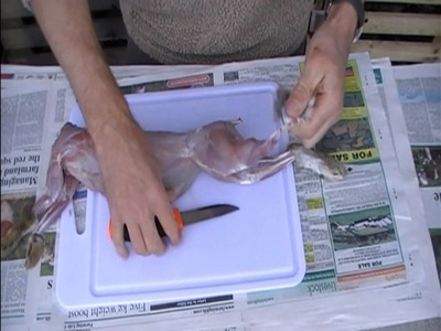 HOW TO MAKE YOUR OWN RABBIT (2012)