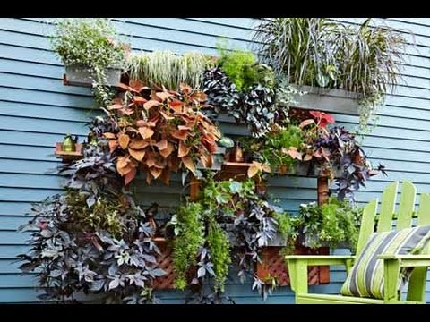 How to Build a Living Wall Vertical Garden - This Old House