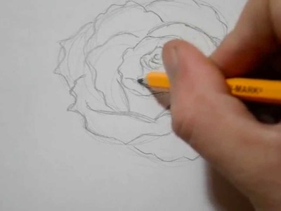 How to Draw a Rose - Quick Sketch