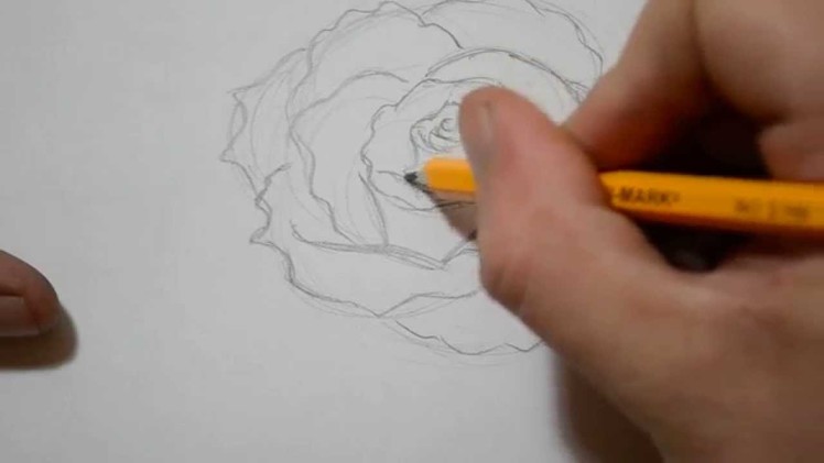 How to Draw a Rose - Quick Sketch
