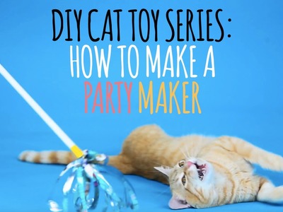 DIY Cat Toys - How to Make a Party Maker