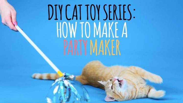 DIY Cat Toys - How to Make a Party Maker