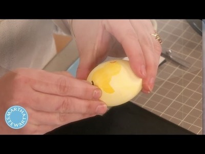 Egg Dyeing - Martha Stewart