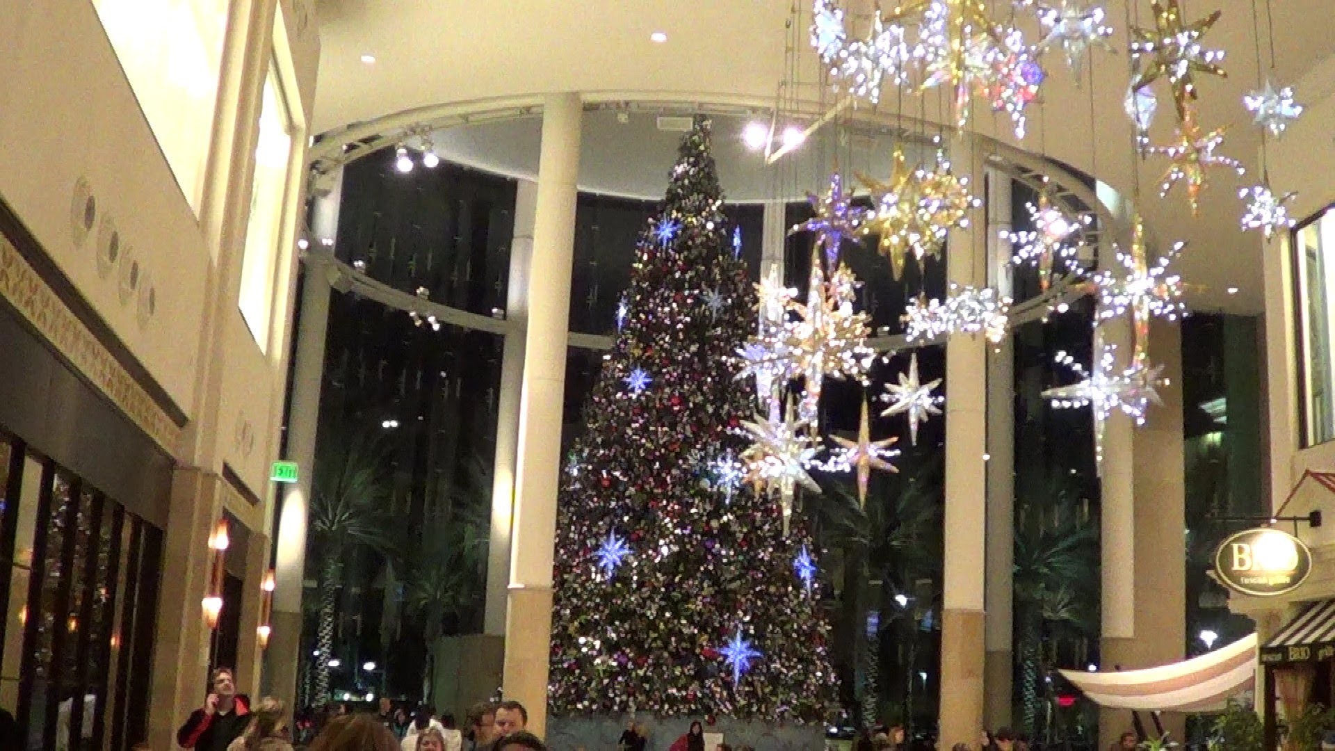 Christmas  Decorations  More in Orlando Florida  REAL USA Ep. 25