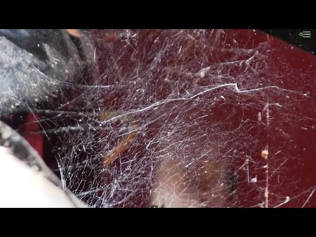 DIY special effects COBWEBS from repurposed Styrofoam DIY Realistic Spider Web Throwing
