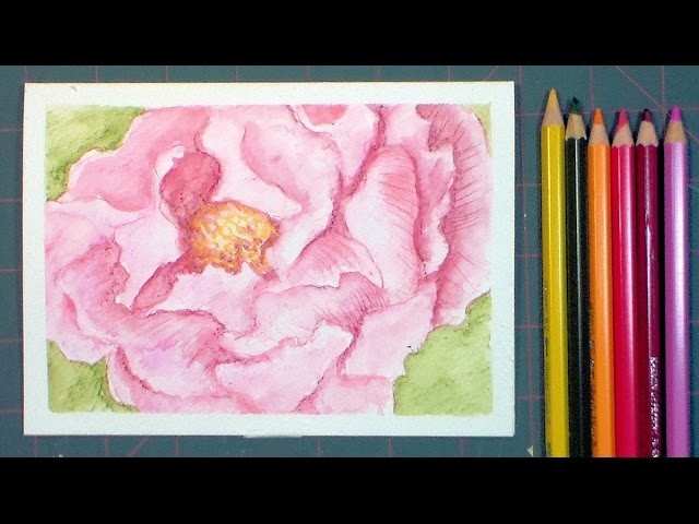 Watercolor Pencil Peony Painting-REAL TIME Tutorial!