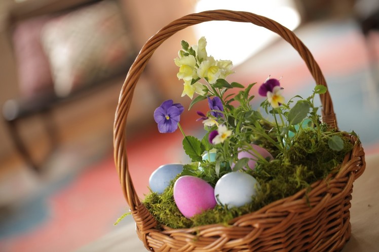 Robert's Living Easter Basket