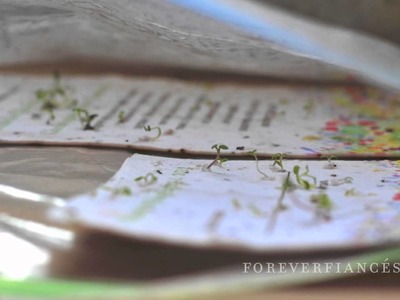 "Seeded Paper Wedding Invitations" | by ForeverFiances.com