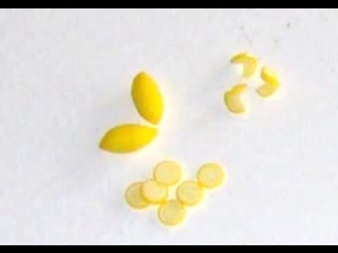 Polymer Clay Miniature - Lemon Cane