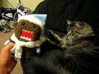 Kitty cat is afraid of "DOMO"