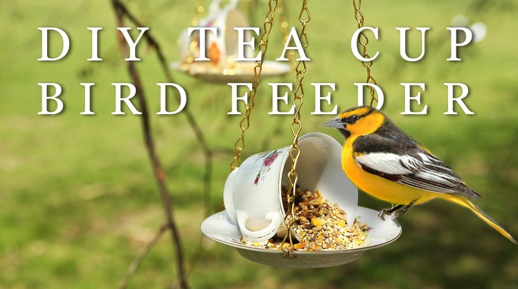 DIY MOTHER'S DAY GIFT | TEA CUP BIRD FEEDER