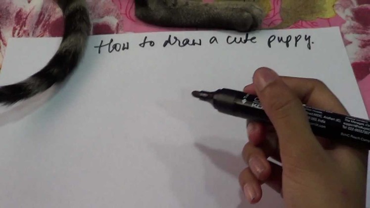 How to draw a realistic cute, charming and furry puppy like a professional