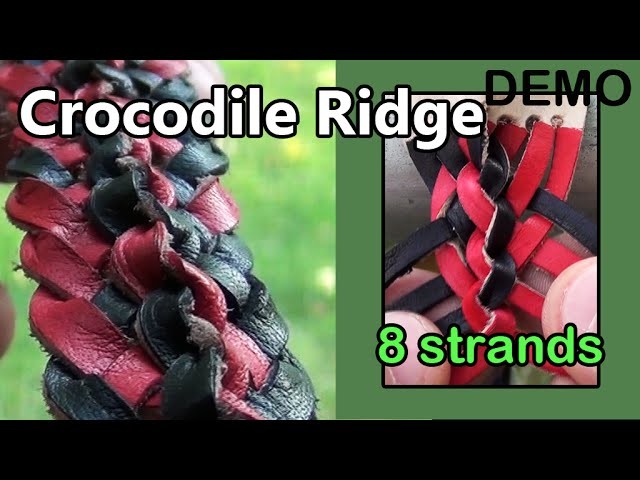 DEMO 16: Crocodile Ridge Braid w. 8 Strands of Leather