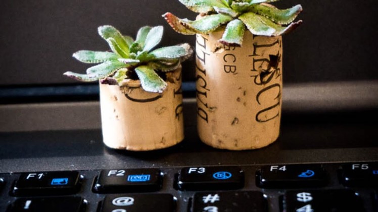 How To Make Adorable Cork Micro Planters - DIY Home Tutorial - Guidecentral