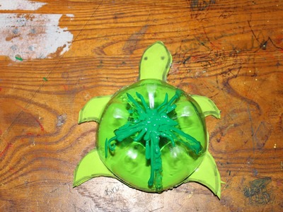 DIY: Craft Turtles