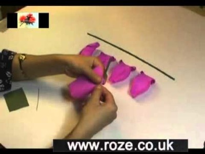 Paper flower making kit - Rose Diadem, (fm20)