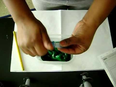 Food Coloring (for your paper flowers)