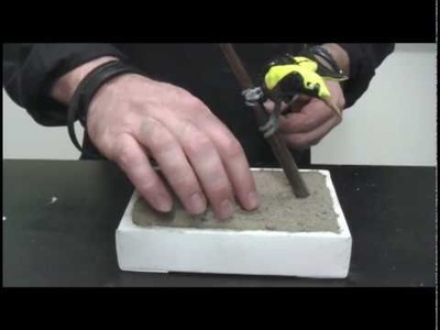 Art Lesson: How to sculpt a Regent Bower Bird using Polymer Clay