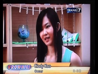 Tree Craft Diary on Brownies Trans 7