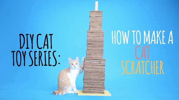 DIY Cat Toys - How to Make a Cat Scratcher