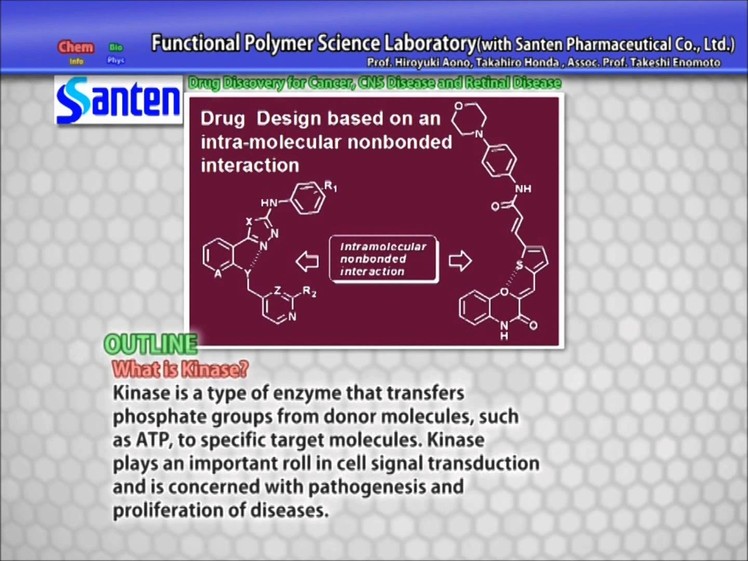 Functional Polymer Science 2013