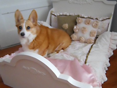 Making a Special Dog Bed