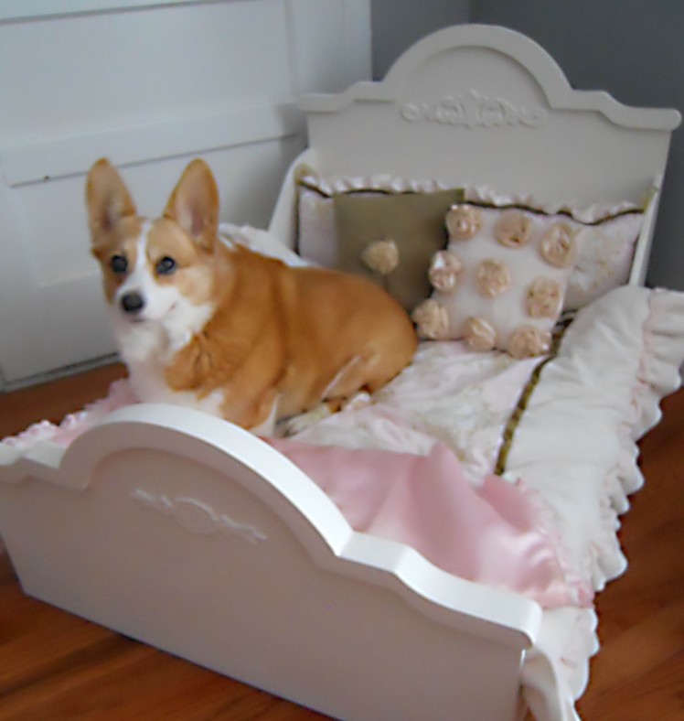 Making a Special Dog Bed