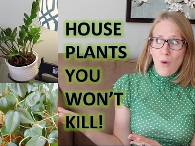 STOP KILLING YOUR HOUSE PLANTS! | Best House Plants