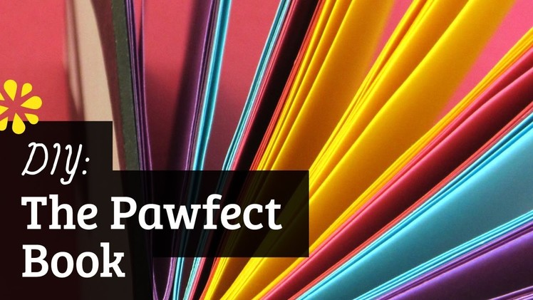 How to Make the Pawfect Book: Coptic Stitch April Fools