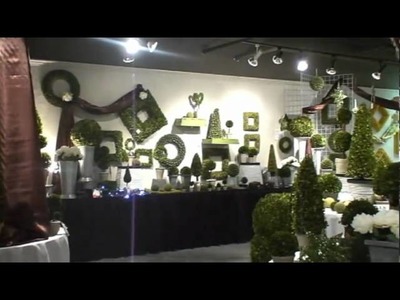 Preserved Boxwood