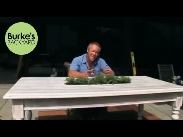 Burke's Backyard, How to Make an Outdoor Table Centrepiece
