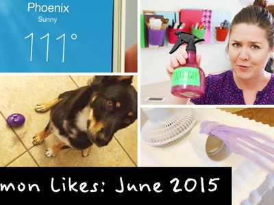 June 2015 ❋ Lemon Likes | DIY AC Cooler & Dog Toy Haul