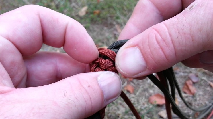 Part 3 of 4 to a MT leash (dd knot to handle)