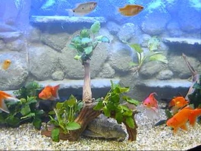 3d fish tank background homemade DIY