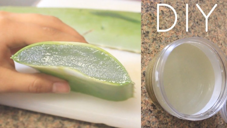 DIY Aloe Vera Juice For Hair, Skin and Health (Curly Penny)
