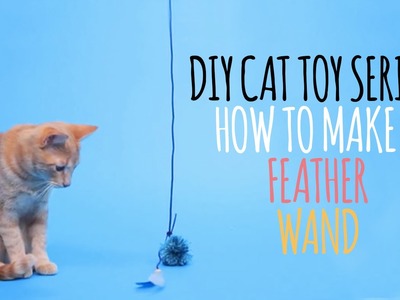 DIY Cat Toys - How to Make a Feather Wand