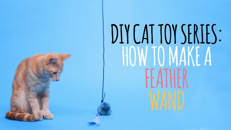DIY Cat Toys - How to Make a Feather Wand