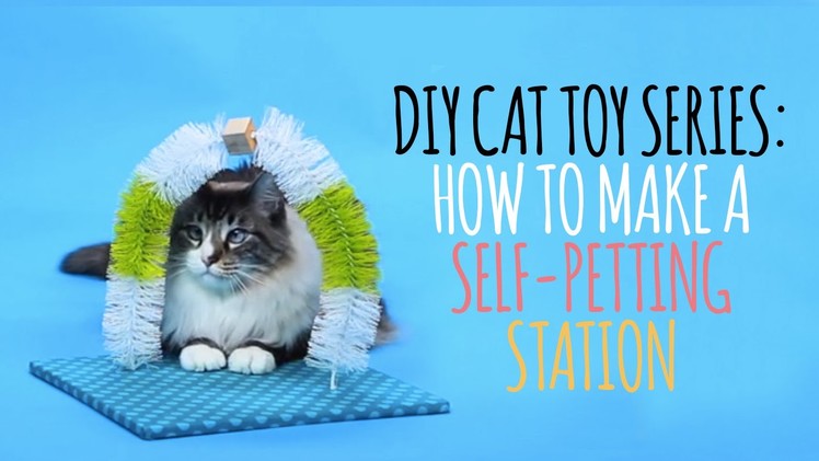DIY Cat Toys - How to Make a Self Petting Station